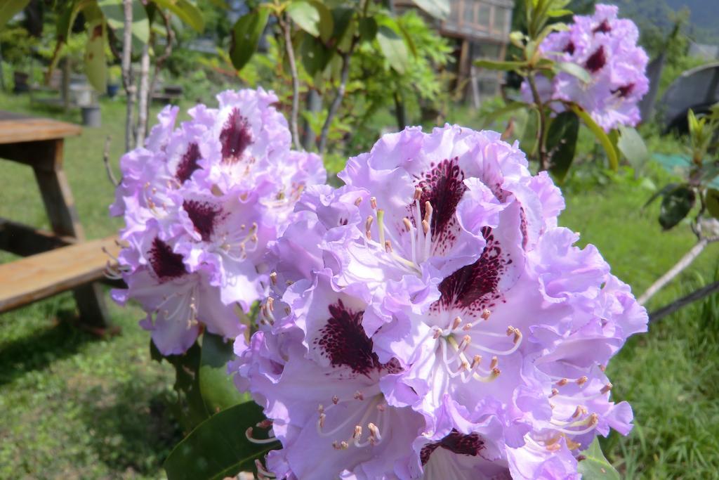 Pension Noah Юдзава Экстерьер фото
