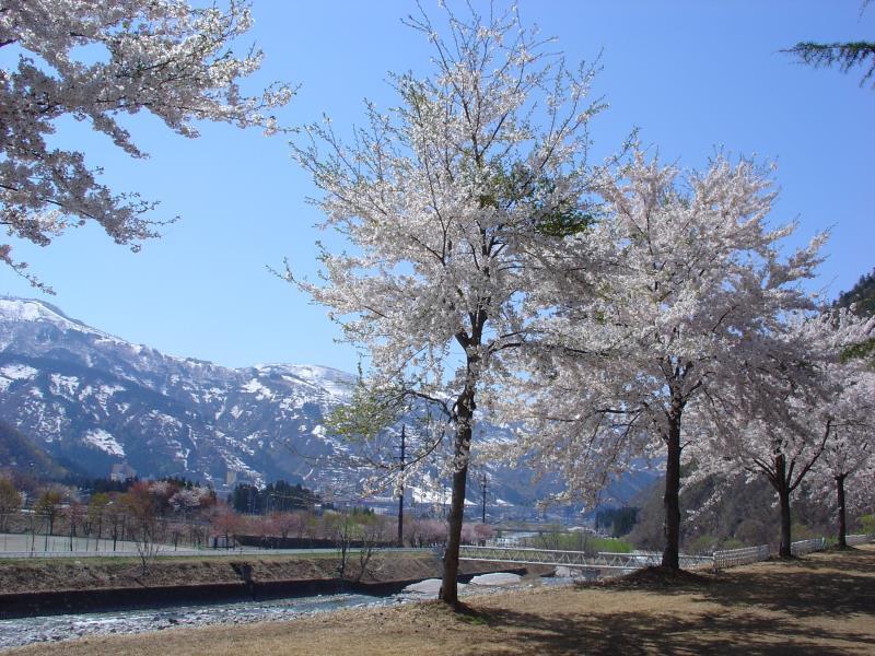 Pension Noah Юдзава Экстерьер фото